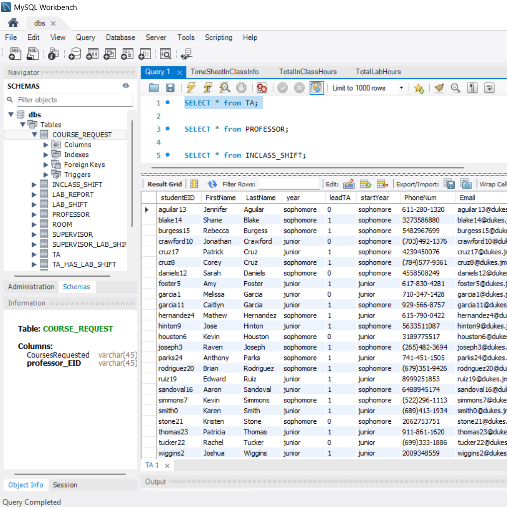 Screenshot of the teaching assistant database web application